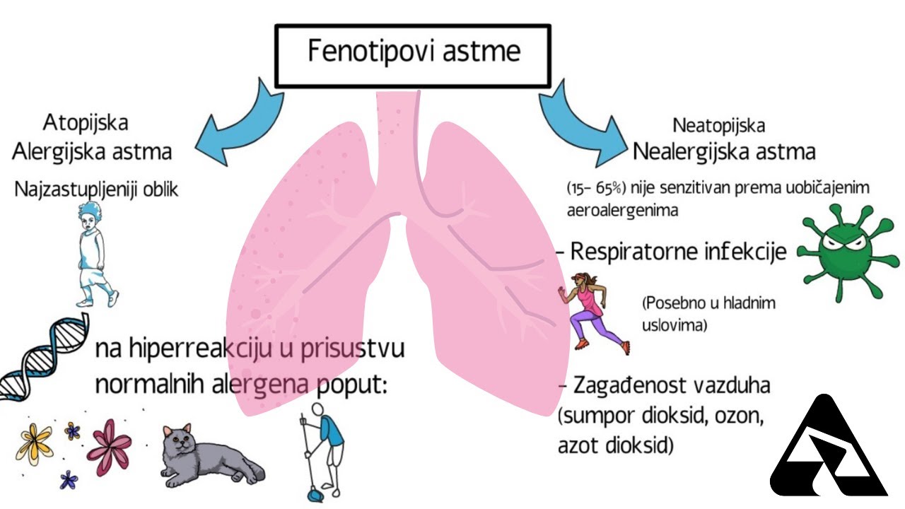 Astma, patogeneza astme, alergijska i nealergijska astma