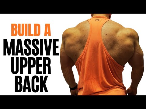Wide Grip Rows or Baby Handle......For a Monster Upper Back??