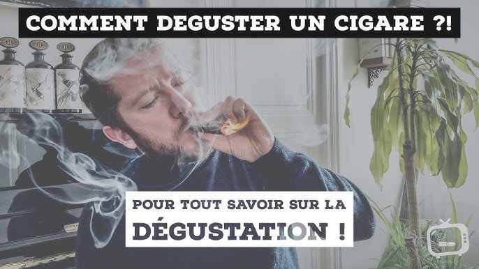 Zino Cigares CI - Comment repérer un faux Cohiba ? Il