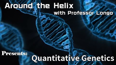 Problem Solving  - Quantitative Genetics