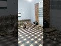 funny لما يقلي عملي شي حركة حلوه  mp3