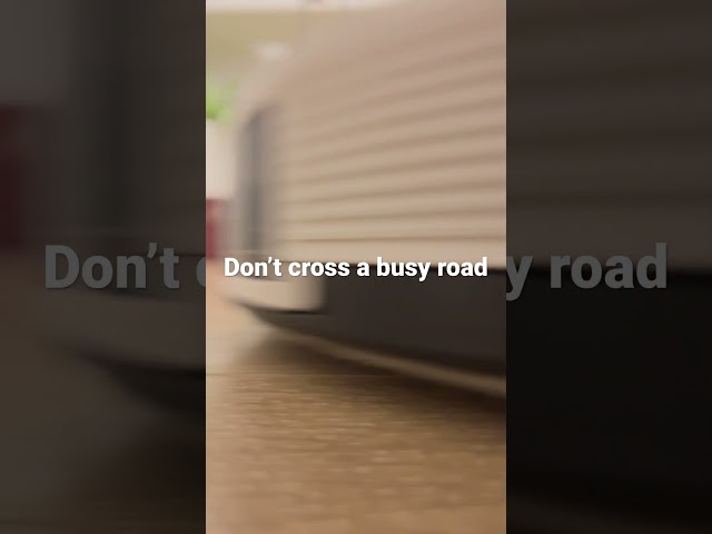 #kittendaily #cleaningrobot don’t cross a busy road class=
