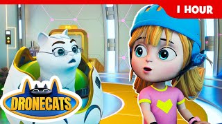 Time-Stopped Meowpolis! ❄️⏳ Drone Cats 1-Hour Mega Compilation