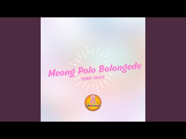 Meong Polo Bolongngede class=