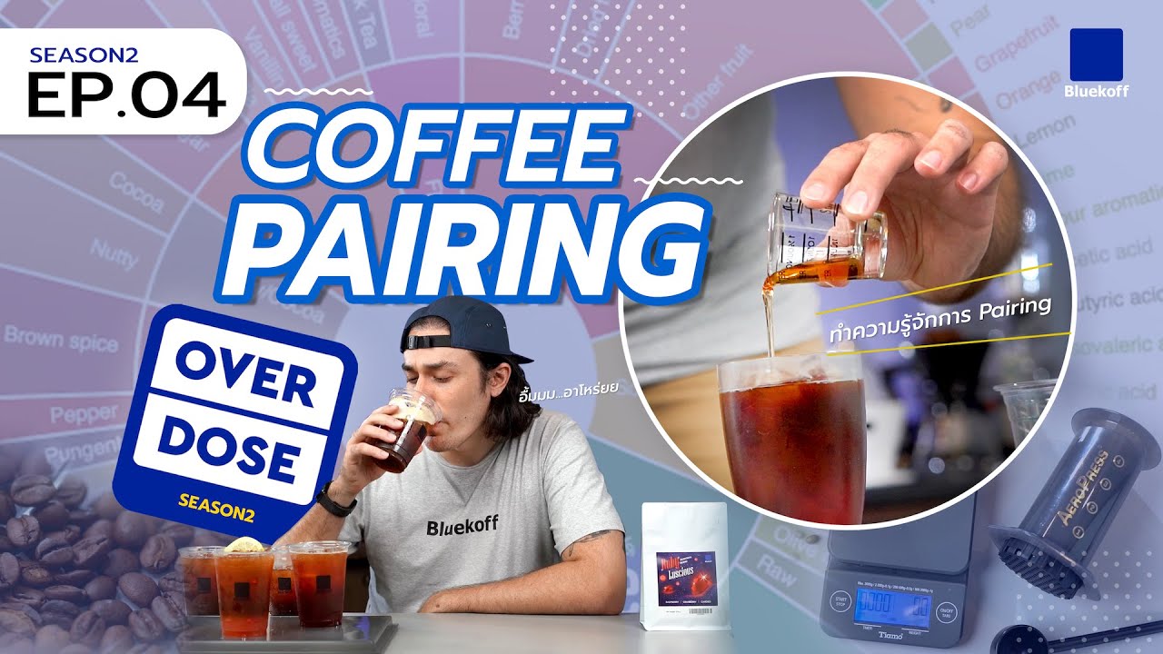 cupping coffee คือ  Update 2022  Overdose Season 2 : Ep.04 Coffee Pairing