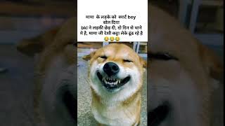 dog joks.. #dogjoks #ytshorts #comedyeffect #comedyvideo #animals #funny #funshort #tweet #shadifun