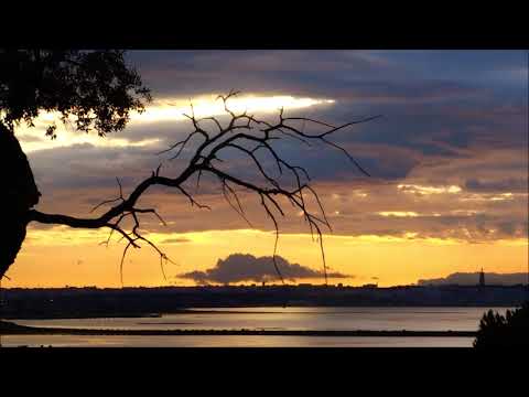 Vangelis - Dr.