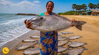 Biggest Size Leather Jacket Fish Recipe I Pondicherry Street Food