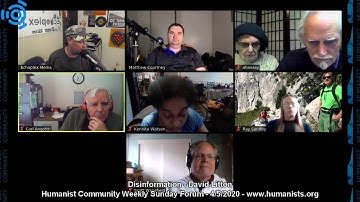 Disinformation - David Litton