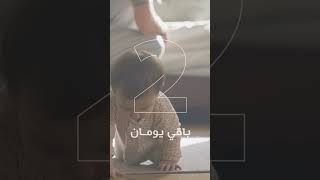 Spacetoon Mum YouTube Channel - 2 Days Left | سبيستون مام - باقي يومان لإنطلاقة قناة اليوتيوب