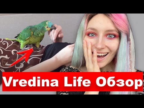 ВРЕДИНА ЛАЙФ | ОБЗОР ВЛОГОВ С ПОПУГАЕМ АМАЗОНОМ ПРОШЕЙ И КАТЕЙ