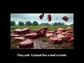 THEY THOUGHT IT WAS RAIN. WOULD YOU EAT IT?😳 #strangstories #truehistory #didyouknow #storytime.