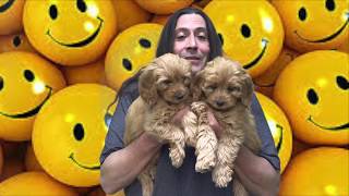 New Arrivals 10 25 18 by BowWow Babies® 1,479 views 5 years ago 3 minutes, 54 seconds