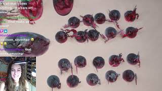 Flesh Eater Courts Army Set showcase