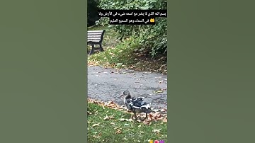 لا تتغافل ولا تترك أذكار الصباح والمساء ما حييت👂👂#صلوا_على_النبي #اكسبلورر
