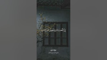 إن الحسنات يذهبن السيئات ذلك ذكرى للذاكرين | سورة هود | للقارى محمد المنشاوي #قران_كريم