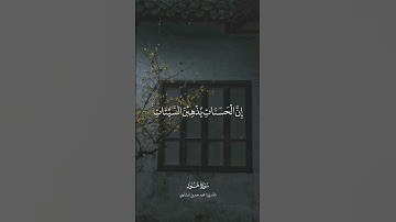 إن الحسنات يذهبن السيئات ذلك ذكرى للذاكرين | سورة هود | للقارى محمد المنشاوي #قران_كريم