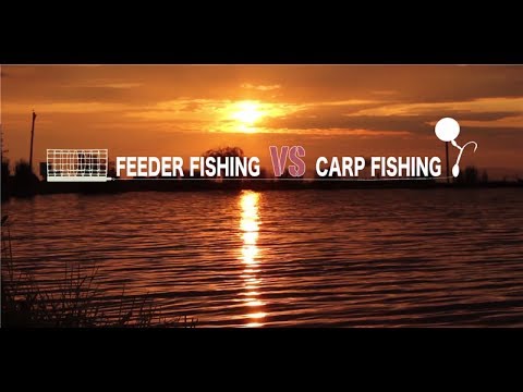 Fishing Tournament \'Feeder Fishing VS Carp Fishing\' - ტურნირი სპორტულ თევზჭერაში