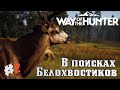 Way of the Hunter➤Денчик Горе Охотник :) #2