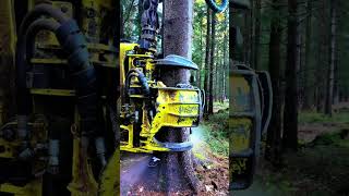 Waratah H415 harvester head
