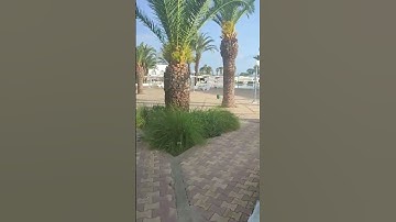 سورة البلد #اكسبلور
