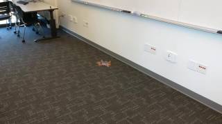 EE Capstone micro-quadcopter project