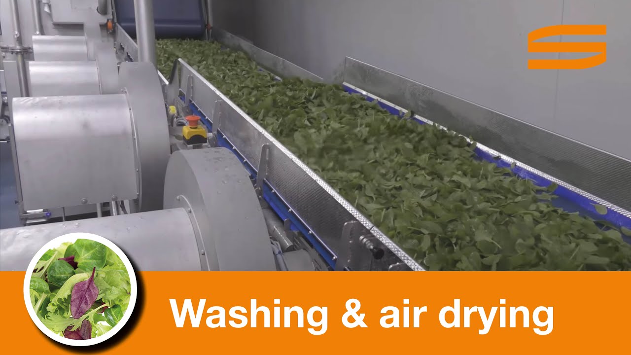 Vegetable Dryers, Vegetable Washing Line