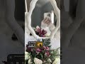 وكنـت أنـا الساقـي 