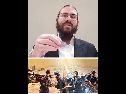 Beitzah Chapter 4 - Youtube