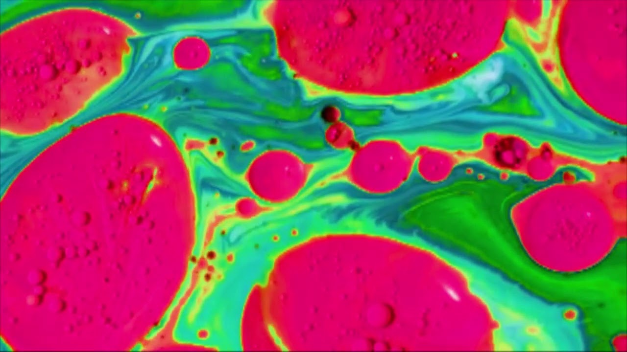 Hey Coat - Everybody's Weird [But Me]