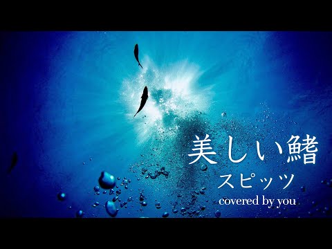 美しい鰭/スピッツ（フル歌詞付き）covered by you