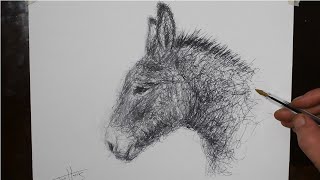 sketching a donkey like a mentallist