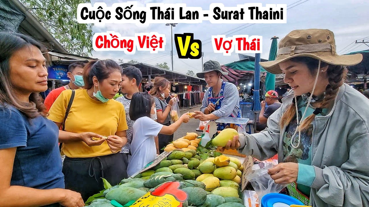 Chúng Tôi Đã Tìm Đến Vựa Trái Cây Lớn Nhất Tỉnh Surat Thani Mua Rất Nhiều Xoài Về Bán Lẻ Ở Chợ Coop