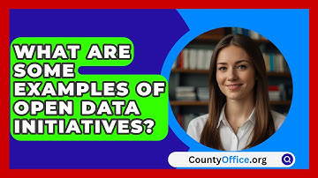 What Are Some Examples Of Open Data Initiatives? - CountyOffice.org