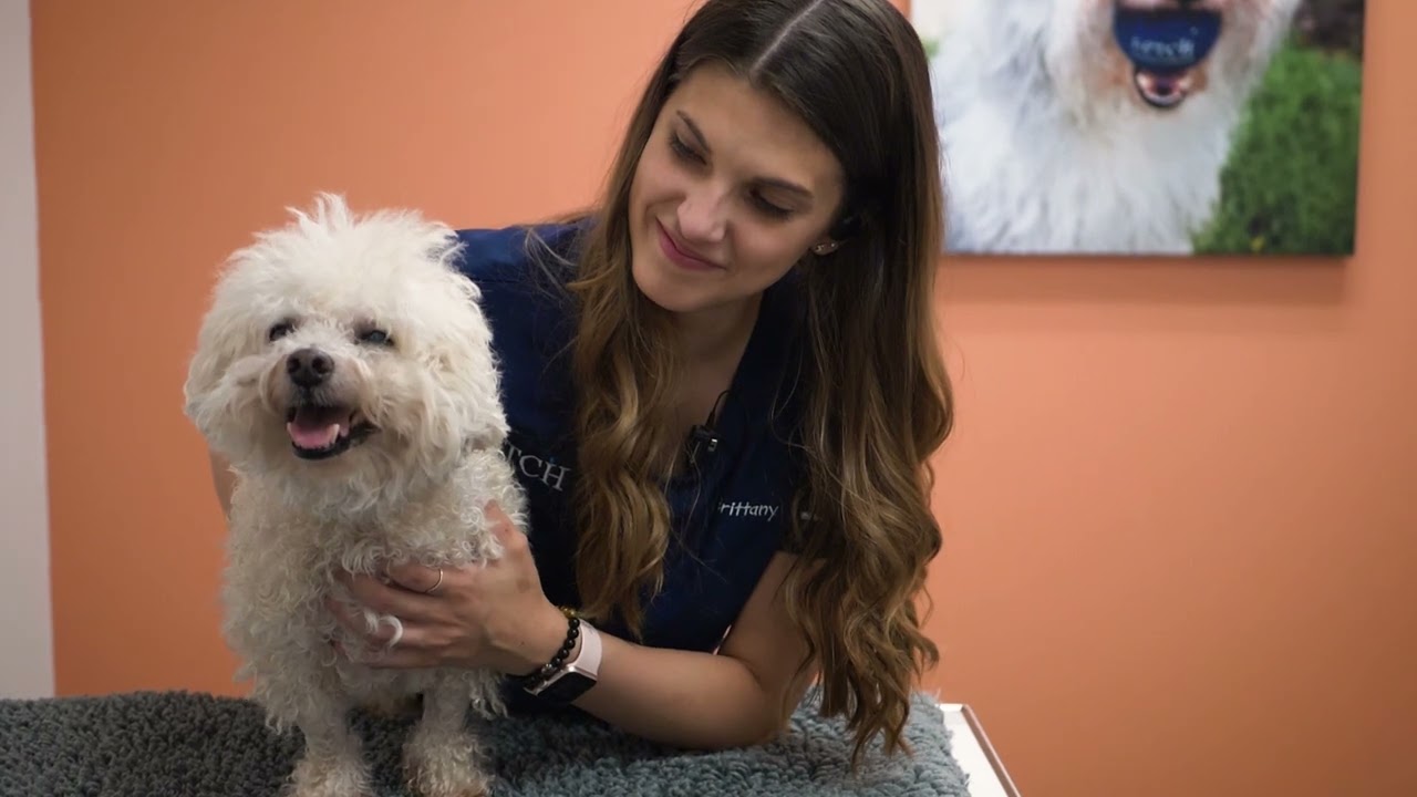 Culture - Fetch Specialty & Emergency Veterinary Centers
