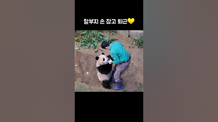 할부지 손 잡고 퇴근🎵 #푸바오 #Fubao #panda