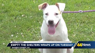 Empty the Shelters event underway in Daviess County