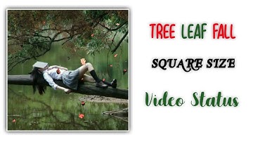 How to make Tree leaf fall square size video status | WhatsApp status | Dekhe Sikhe