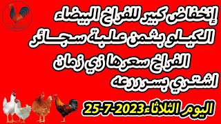اسعار الفراخ البيضاء اليوم - سعر الفراخ البيضاء اليوم - اسعار الدواجن اليوم الثلاثاء 25/7/2023
