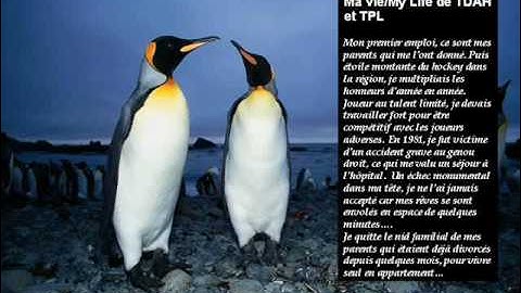 youtube 2010-01_0001.wmv