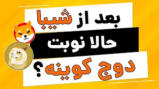 دوج کوین بخریم یا نه؟ آیا دوج کوین هم مثل شیبا قراره رشد کنه؟ پامپ دوج کوین به دنبال پامپ شیبا؟