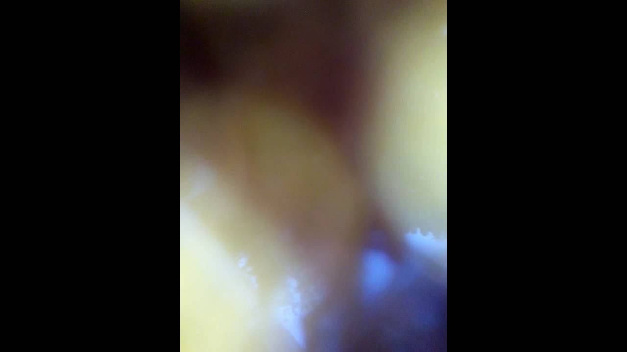 camera iphone 8 plus apk Phone Scammer 3: Talking to Officer