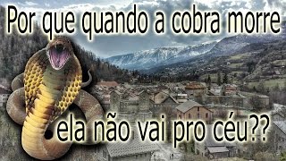 Porque quando a cobra morre ela não vai pro céu?? - simulador de cobra screenshot 5