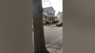 Strong storms brought hail to parts of N.J.