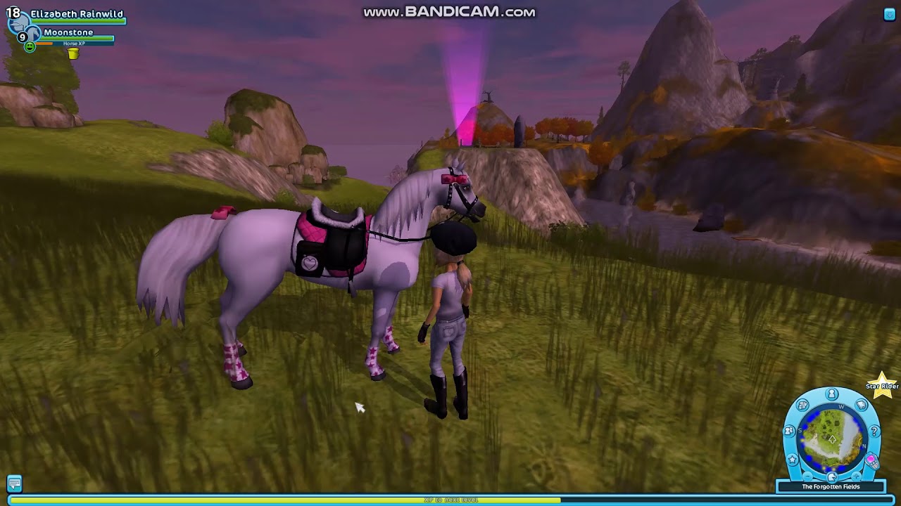 STAR STABLE|NEW INTERACTIVE SQUIRREL!