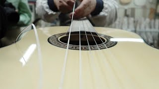 Process Of Making Classical Guitar. South Korean Instrument Master