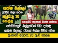 ලංකාවේ අවුරුදු 20 කෙල්ලගේ මිනීකන බලු රංචුව  - Cane Corso Dog In Sri Lanka
