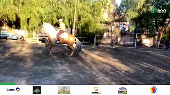 Rancho la Laguna. Norco Ca. ELIAS JIMENEZ #radio #...