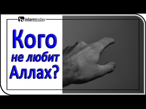 Видео: 5 людей, которых не любит Аллах – религия Ислам и мусульмане