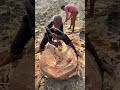 craftsmanship of these workers is amazing 🤩:#asmr #craftsmanship #satisfying #hardwork #fun